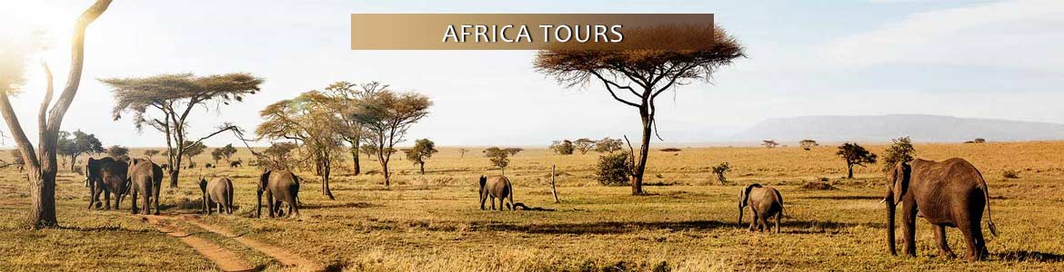 Trafalgar Tours: Africa Tours